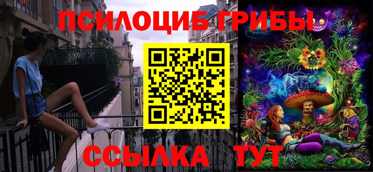 Чапаевск  купить наркотик  Вход с VPN  Псилоцибиновые грибы Cubensis 